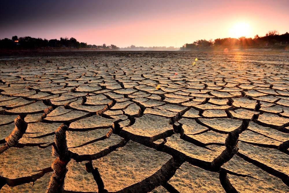 Western Cape drought to blame for recession - Economist